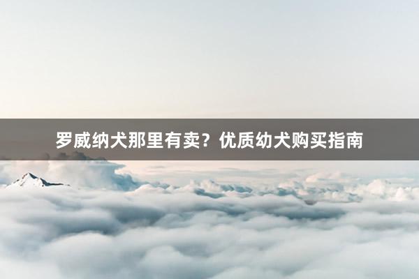 罗威纳犬那里有卖?优质幼犬购买指南